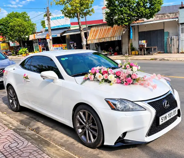 Thuê xe mui trần cưới Lexus IS 250C mui trần trắng – kết hoa hồng phấn trên nắp capo