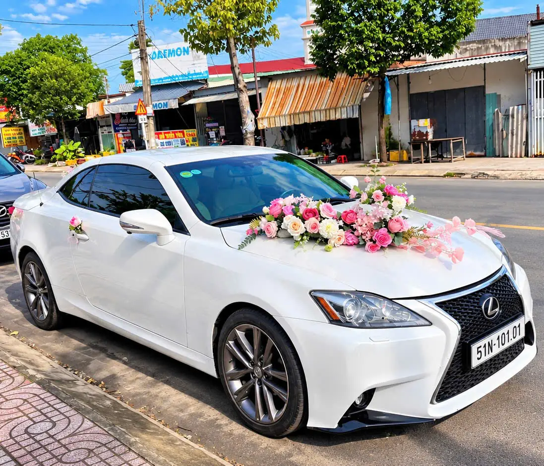 Xe hoa Lexus IS 250C mui trần trắng kết hoa hồng