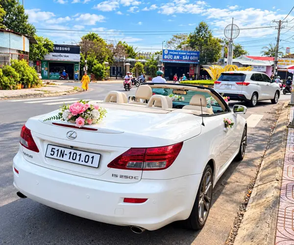 Thuê xe mui trần cưới Lexus IS 250C mui trần trắng – mui mở nhìn từ phía sau