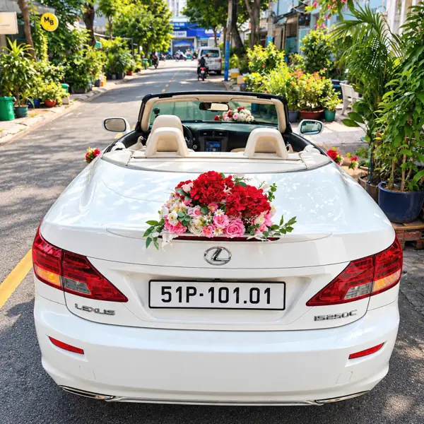 Thuê xe mui trần cưới Lexus IS 250C mui trần trắng – đuôi xe kết hoa hồng đỏ